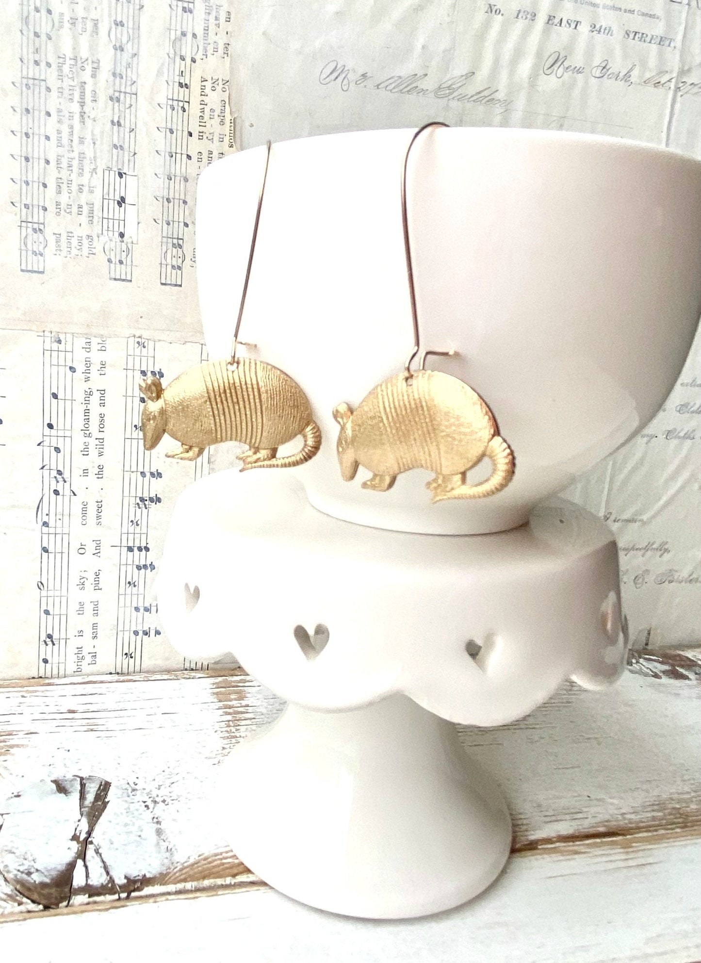 Armadillo Earrings Texas Armadillo