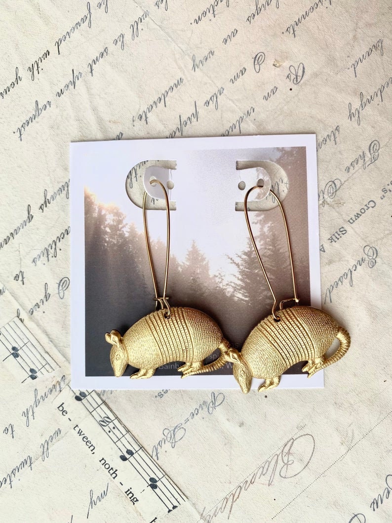 Armadillo Earrings Texas Armadillo